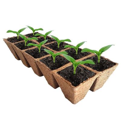 China Hot Sale Modern 10 Hole Sowing Seedling Cup Garden Plants Nursery Paper Pots Biodegradable Peat Moss Cups for sale