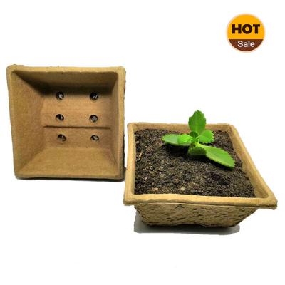 China Hot Sale Modern 5.1 Inch Sowing Cup Garden Plants Nursery Paper Pots Seedling Biodegradable Peat Moss Pulp Square Seed Pots for sale