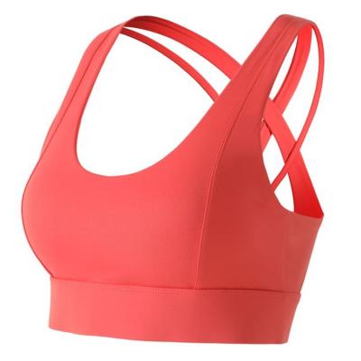 China Antibacterial Wholesale Multi Straps Ladies Gym Training Fitness Sports Bra Elastic Bra for sale