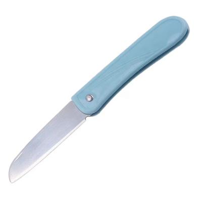 China Sustainable Plastic Folding Stainless Steel Fruit Knife For Cutting And Peeling Household for sale