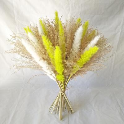 China Hot Natural Wedding Boho Home Decor Wedding Centerpieces Dry Plants Arrangements Palm Leaves Bouquet Pampas Grass Dried Flowers for sale