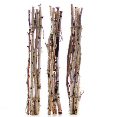 China Dry flowers newly design classic dry aritficial birch wood package for home decoration dry flowers for sale