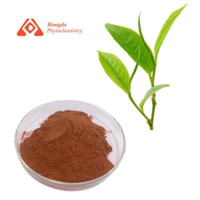 China 98% Polyphenols Anti Oxidant Ingredients Pure Green Tea Extract Powder for sale