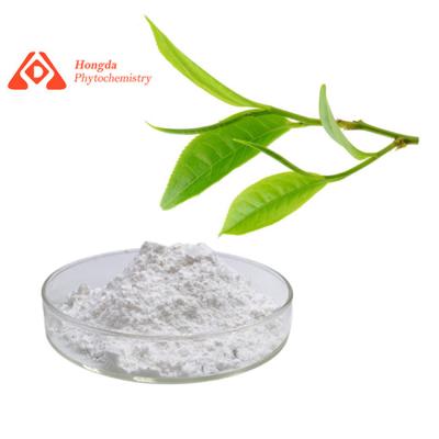 China Pure Anti Oxidant Ingredients Organic Green Tea Extract L Theanine Powder 98% for sale