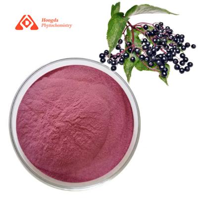 China Food Grade Elderberry Powder Pure Sambucus Nigra Fruit Extract Natural Antioxidant for sale