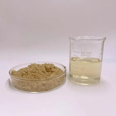 China Anti Inflammatory Lion Mane Extract Improve Digestive System Functionality for sale