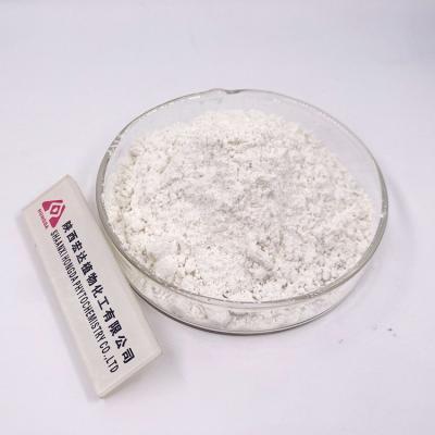 China GMP Certified NMN Powder Natural Ingredient for Health Benefits for sale