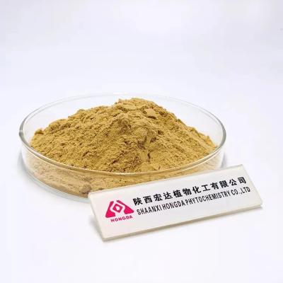 China Keep In A Cool Hericium Erinaceus Powder For People With Weak Digestion for sale