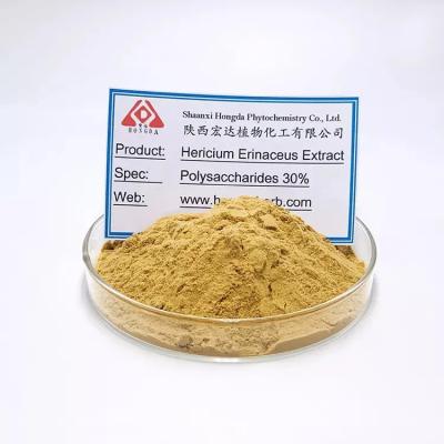 China Lion Mane Extract Hericium Erinaceus Capsules For People With Weak Digestion for sale