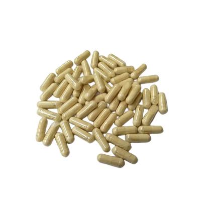 China Natural 30% Hericium Erinaceus Extract Capsules From HONGDA for sale