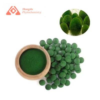 China Suplemento orgánico natural de la Chlorella con las porciones de la proteína 90 por el envase en venta