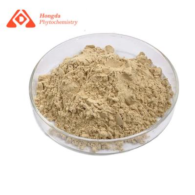 China Dry Cool Place Stored Ginseng Extract Powder Natural Form For B2B Use for sale