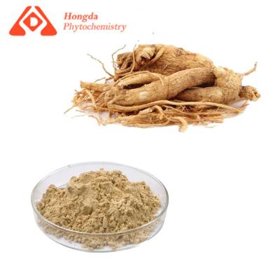 China Reines Kräuterginseng-Auszug-Pulver mit natürlichem Geruch Ginsenosides zu verkaufen