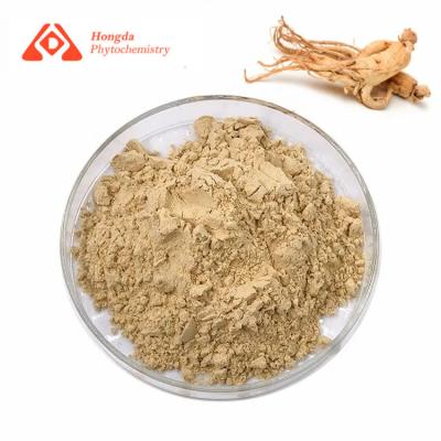 China Natural Plant Extract Ginsenosides Powder EU Standard Pesticide Residue Free for sale