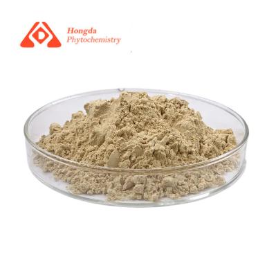 China Healthy Natural Organic Ginseng Extract Powder With Ash ≤5% For Sale for sale