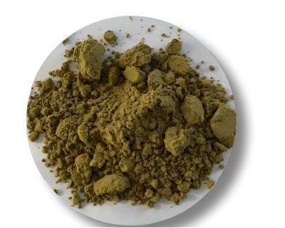 China Anti Oxidation Organic Ginseng Powder Ash ≤5% Pesticide Residue Conforming To EU Standard for sale