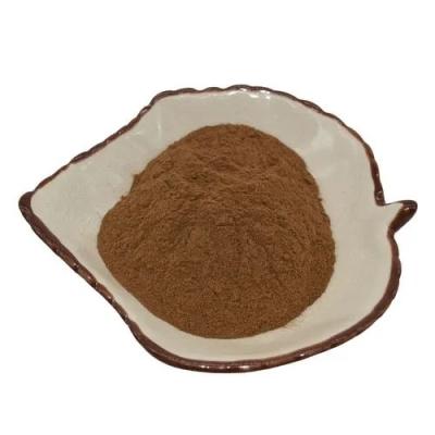 China Lion Mane Extract Powder For Weak Digestion 24 Months Shelf Life for sale