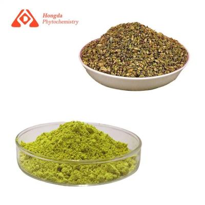 China Anti Inflammatory Quercetin Yellow Powder Protect Against Cellular Damage for sale