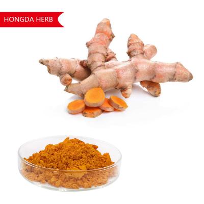 China Pure Plant Extract Curcuma Longa Powder 95% HPLC Antioxidant And Anti Inflammatory for sale