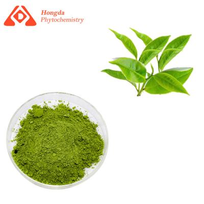 China El té verde orgánico Matcha pulveriza el grado ceremonial Matcha de la etiqueta privada en venta