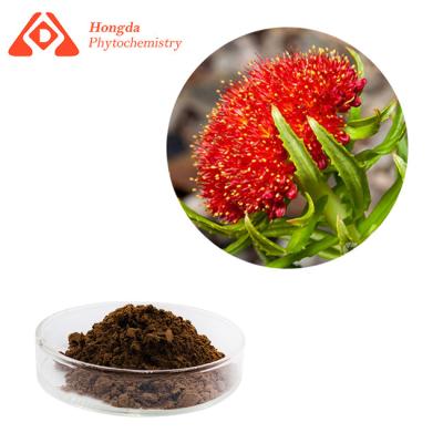 China Health Care Rhodiola Rosea Extract Powder Salidroside Rosavin CAS 97404-52-9 for sale