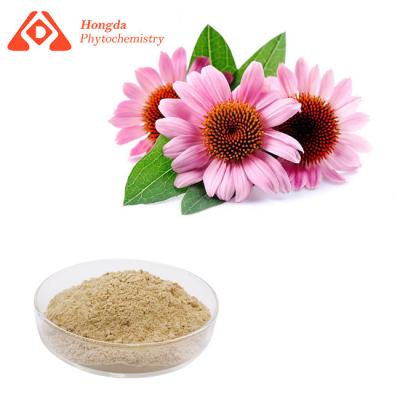 China Anti Fever Echinacea Extract Powder Chicoric Acid 1% 4% CAS 70831-56-0 for sale