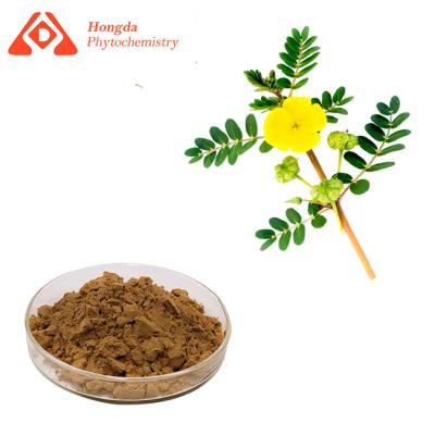 China Pflanzenauszug-Saponine 70% 80% 90% Tribulus Terrestris-Auszug CASs 90131-68-3 reiner zu verkaufen