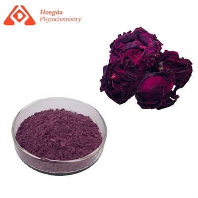 Cina Cura di pelle Rose Petal Powder rossa CAS 520-18-3 100% purezze solubili in acqua in vendita