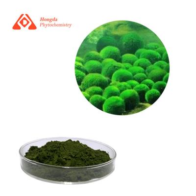 China Organic Chlorella Powder With 0g Saturated Fat 10 Calories for sale