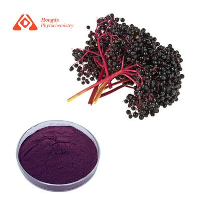 China Schwarze Holunderbeerauszug pulverisieren 25% Anthocyanin für die immune Vergrößerung zu verkaufen