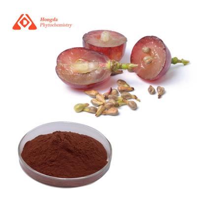 China natural plant extracts  95% Proanthocyanidins Grape Seed Extract Powder Antioxidant Grape Seed Extract for sale