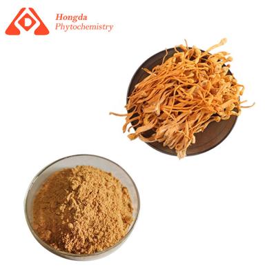 China El cáncer anti Cordyceps extrae la adenosina el 1% el 8% el 98% de CAS 73-03-0 Cordycepin del polvo en venta