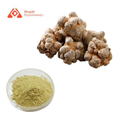 Cina Imballaggio del tamburo dell'estratto di 80 Mesh Pure Natural Panax Notoginseng in vendita