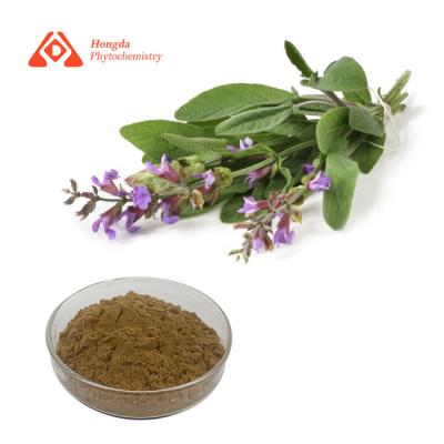 Cina Salvia Officinalis Extract antiossidante 15% Carnosic CAS acido 3650-09-7 in vendita