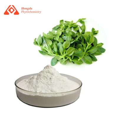 China Pure Natural Andrographis Paniculata Extract 98% Andrographolide CAS 5508-58-7 for sale