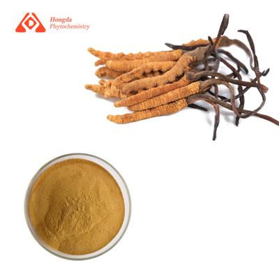 中国 純粋で自然なCordyceps Militarisのエキスの健康の補足 販売のため