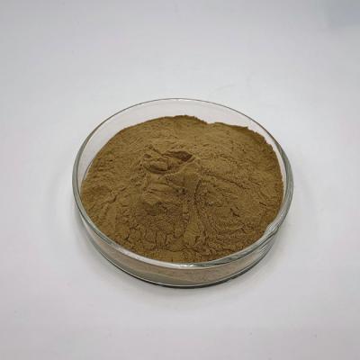 中国 30%の多糖類のライオンの鬣のきのこはHericiumのErinaceusのエキスの粉を粉にする 販売のため