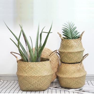 China With Handles Multi Color Vegetable Plankton Basket Laundry Seaweed Organizer Wholesale Flower Plants Storage Pots for sale