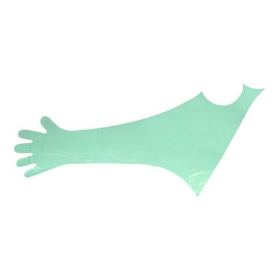 China Veterinary Using Green PE Disposable Long Arm Gloves For Wearing Around Neck for sale