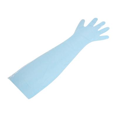 China 7g Food Handling FDA Disposable Shoulder Length Gloves With Elastic for sale