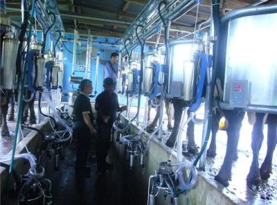 China HL-G2 Herringbone Milking Parlor with Automatic Cluster Remover for Cow Milking for sale