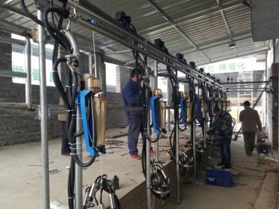 China HL-G2 Single line 1x9 Automatic Milking Parlour with Waikato Milk Flow Meter for sale