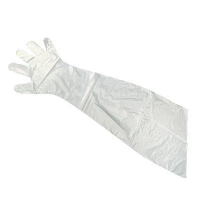 China 50 Pack 35.4 Inch Long Arm Length Disposable PE Gloves Red Or White FDA Approved for sale