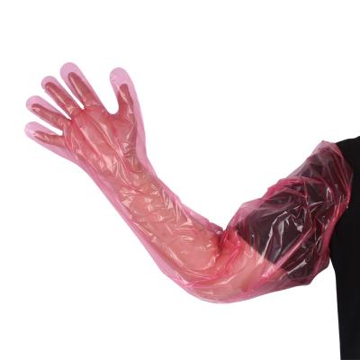 China 50PCS/Bag Long Arm PE Veterinary Disposable Gloves Excellent Chemical Resistance for sale