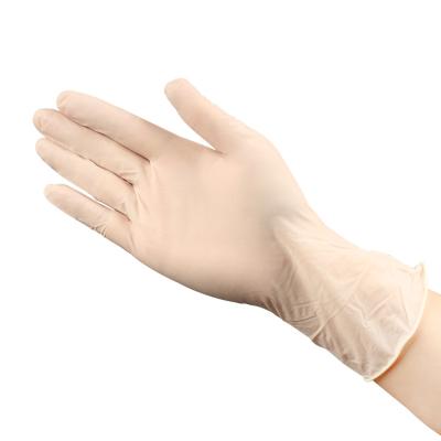 China Personal Protective Medical Disposable Latex Gloves with Rolled Cuff for Enhanced Protection for sale