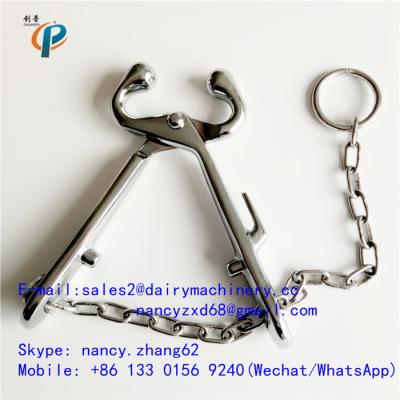 China Carbon steel nose tongs for cattle, calf nose clamp , nose grips for cow holding , with chain for sale