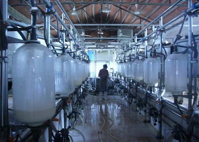 China High Efficiency Cow Herringbone Milking Parlor With Glass Milk Meter for sale