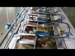 Herringbone Milking Parlor with Waikato Milk Meter