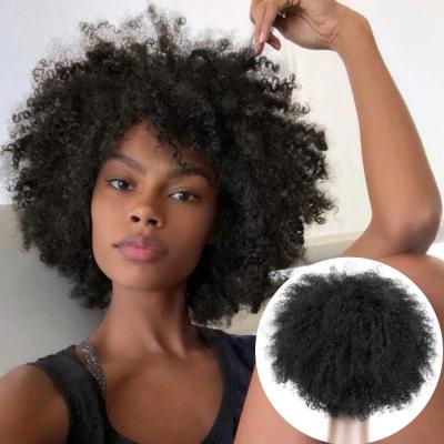 China Curly Afro Kinky Curly Hair Wigs 10 Inch Brazilian Virgin Hair Wig For Women for sale