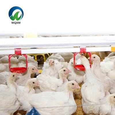 China Automatic Line Poultry Farm or Poultry House Poultry Drinker System for Chicken Broiler Broiler Drinker for sale